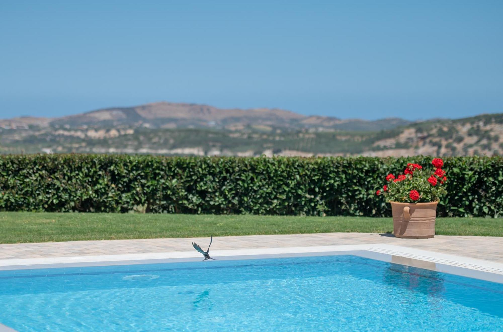 Villa Elisabeth Perama  Exterior foto